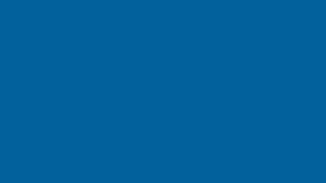Blau - Über uns